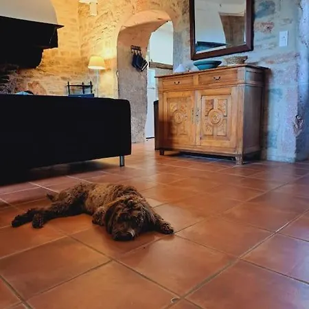 Authentique Maison Du Quercy Ferienhaus