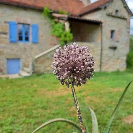 Authentique Maison Du Quercy
