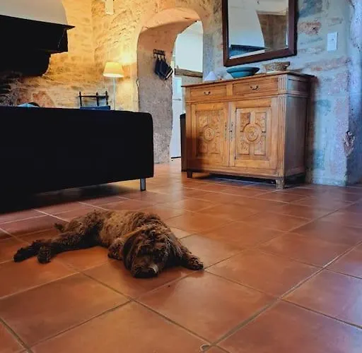 Authentique Maison Du Quercy 度假居