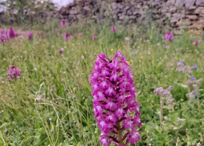 Authentique Maison Du Quercy