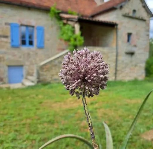 Authentique Maison Du Quercy